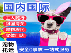 成都双流国际宠物托运 【国